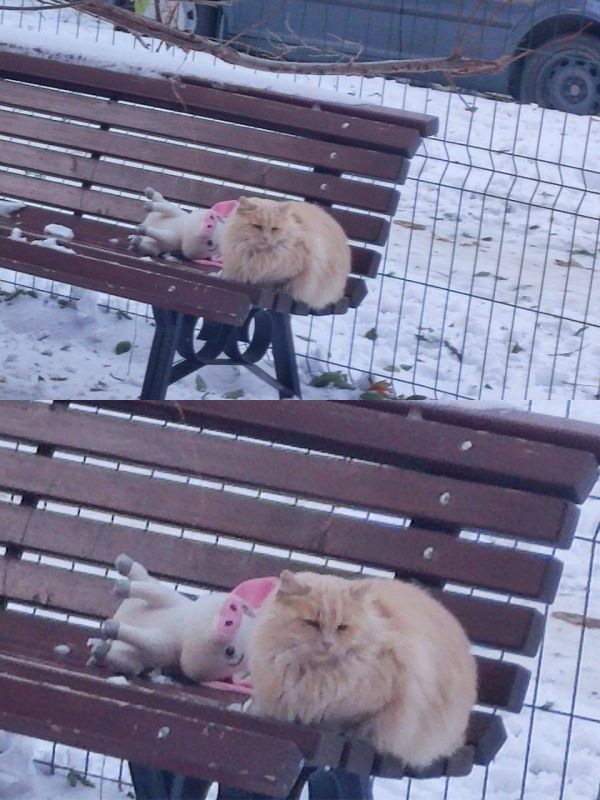 � ��������� ���� ����� ������ � ���������