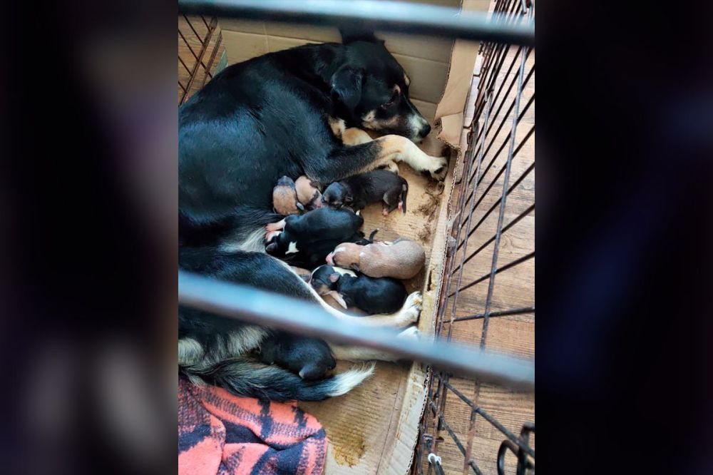 ���������� ��������� �������� 10 ������������� ������ ��-�� ����� ���� ����� ��������