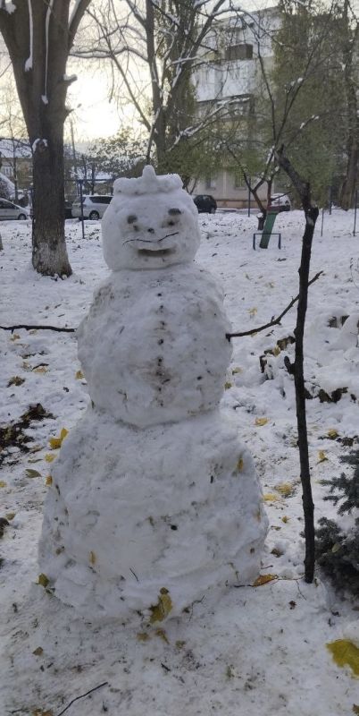 ������� ��������� ����������?