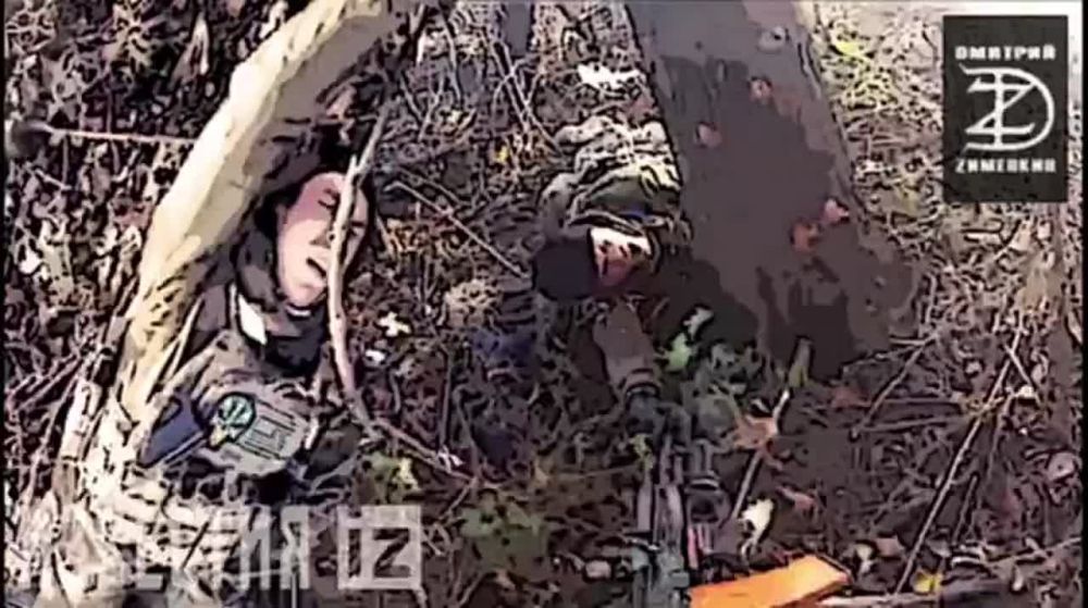 ����� ������� ���� ��������� � ���� � ������ ���������.