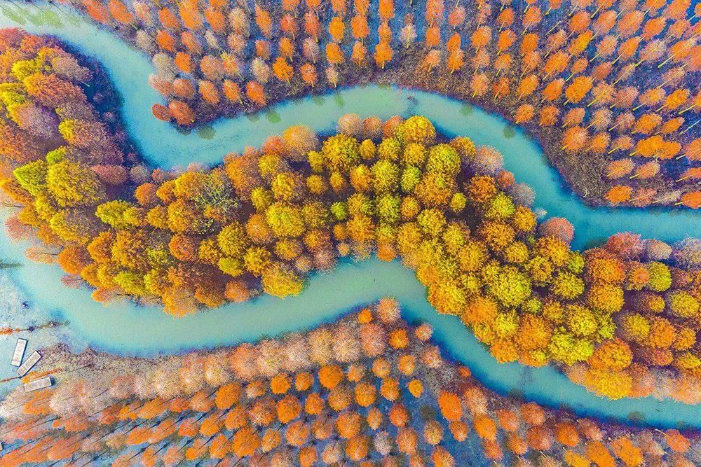 ����������� � ������ ����� �������� � ��������� ������, �����