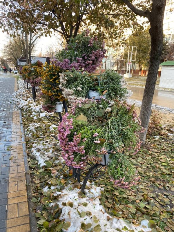 ��������� ���� �� �������� � ��������� ����������, ������ � ������� ��� �������