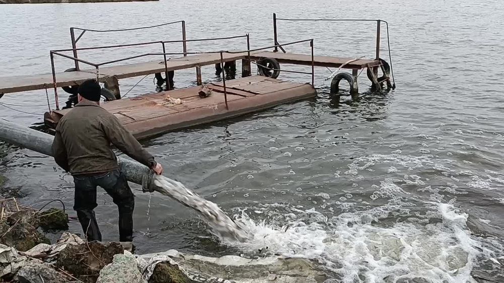 � ���� ������������ �������� ����� ���������� �������� ���������� � ������������ ������������� �������� 10 ���� 773 ���������� ���������� ������ �����, �����, ������ � �������� �������������