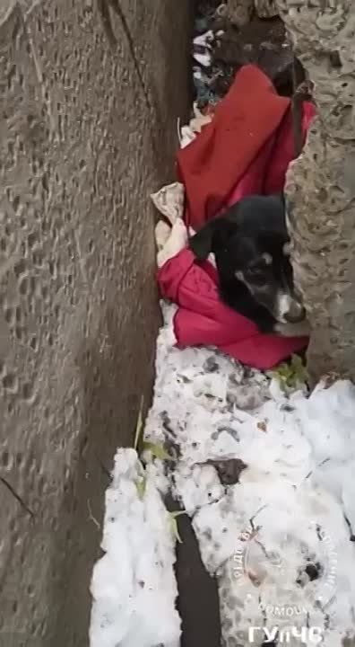 ����� ����� � �������� � ������ �������� �������� ����������