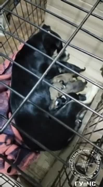 10 ������������� ������ � ����-������ ���������� ����� �������� � ��������