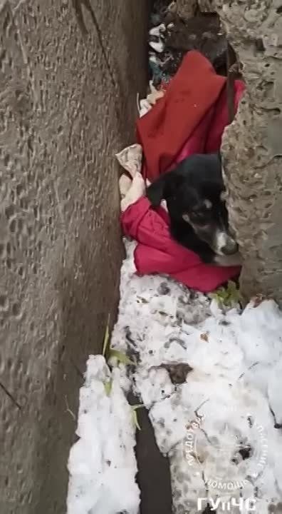 � �������� ������ 10 ������