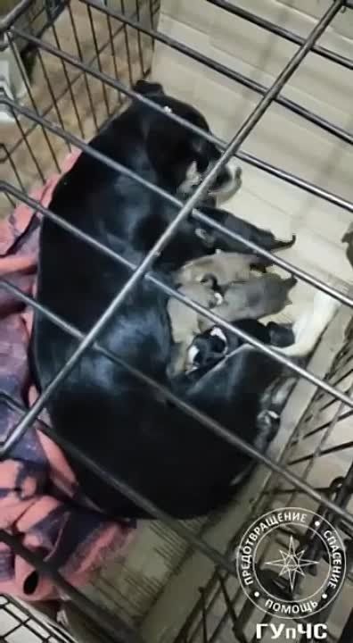 ������ ������ � 10-� �������, �������� �����-����� ���