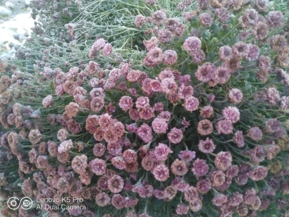 ����������, ��������� ������� ������, � ������, ������ �� ������..