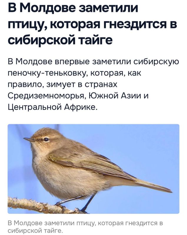 ���� ��� ����� ������ ��������� �� ��������