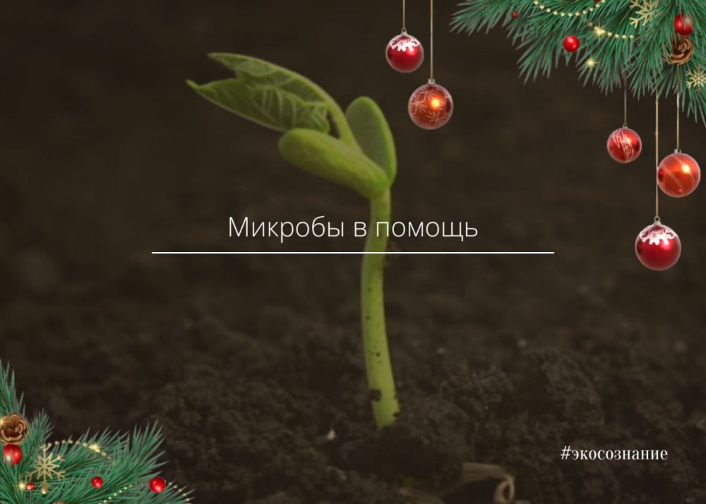 ������� ����������� � ���������� ���������� ������� �������