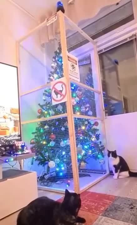 ��� ������ �������� ���� �� �����.