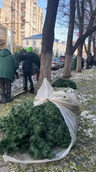 ��������� �� �������. �� 25 �������, ����� ����������, ���� ������� ����������