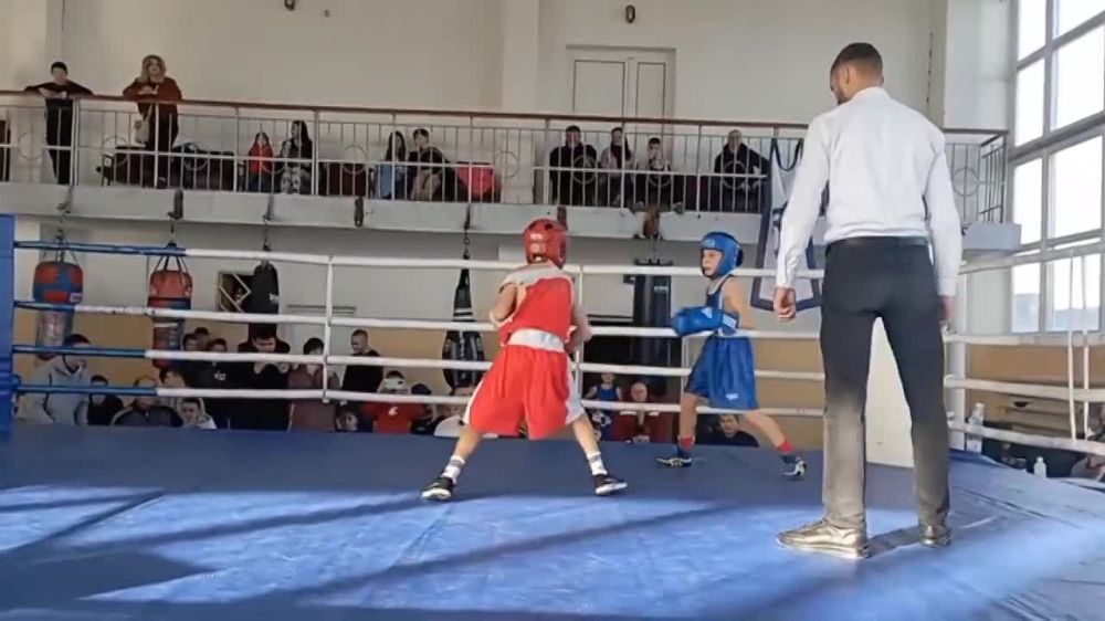 ���������! ������! ������!�