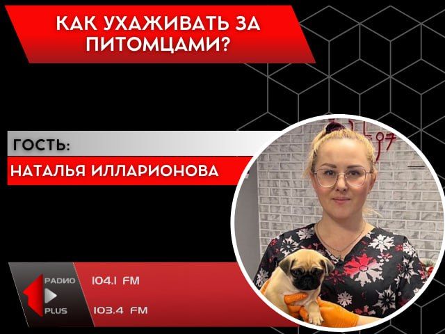 ��� ��������� �� ���������?