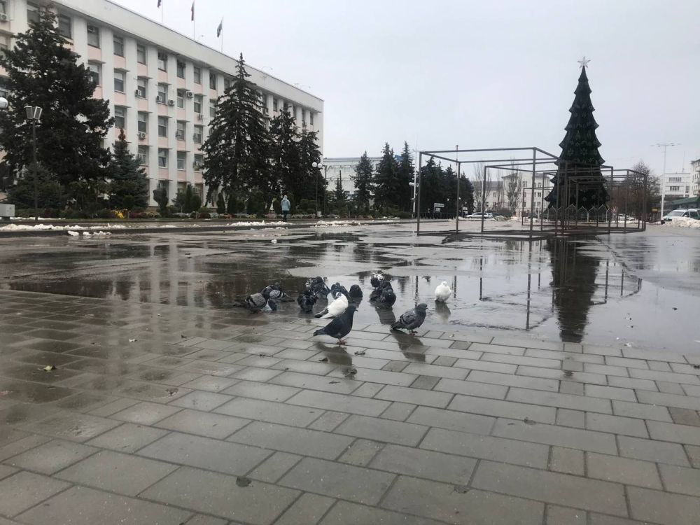 � ������ ���� ����!. 1 ������� �� ���� ���� ����� ������ �� ������ � �������� ���� ����������, � ������ ������� � ���������������� ���������� ����������� ����������