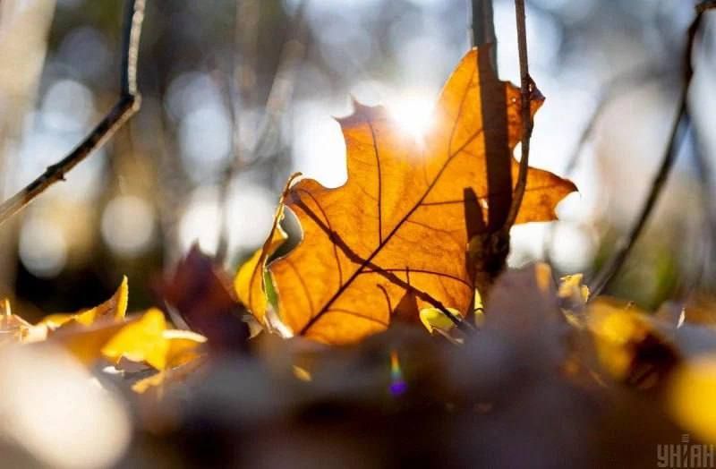 � ������� +14��. �� �������� ���������� ������ ������� ����� ���������� ������������� � �������� �����. � ������� ���� ��������� �� +14��, � ����������� �� +11�� �������� �����