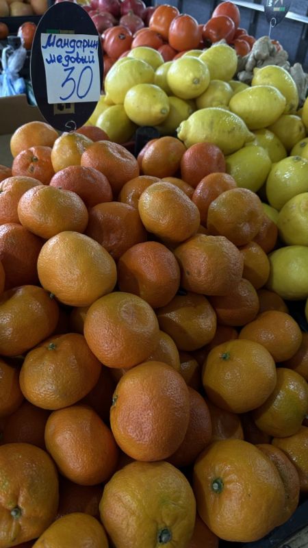 ����� ���������� ���������