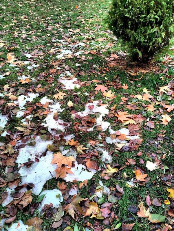 ��� ������� ���� �� ����� ���� - ������ �����, ������� ����� ������ � ��� ���-��� �� ���������� ����