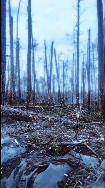 �-64�� ��� ���-�� � ����� ��� ���������.