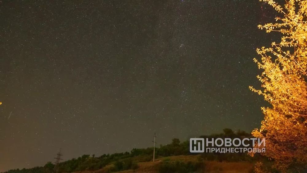 � �������� ������� �������� ���� ���� �� ������� ����