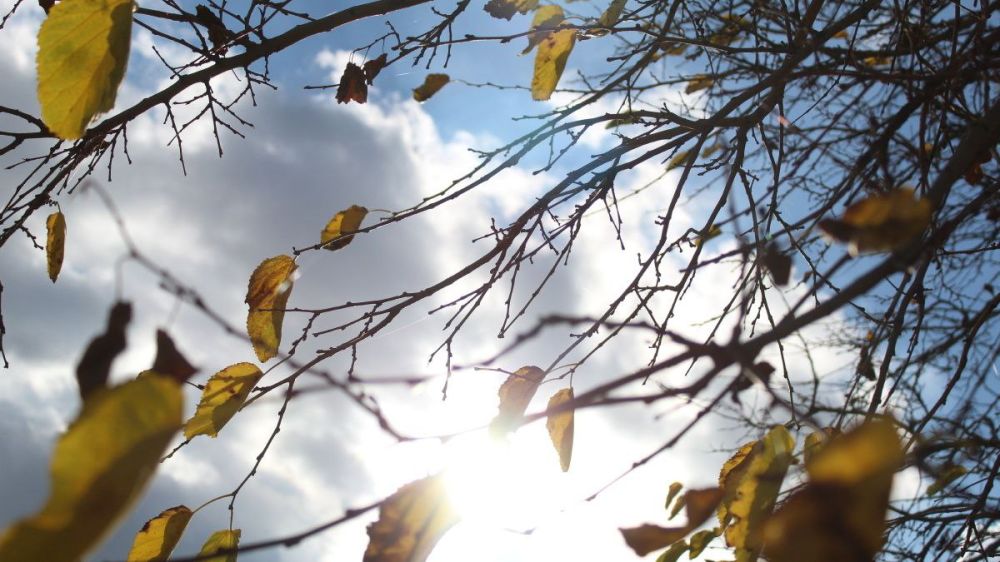 ��� ���� ����� ��������. ������������� ������������ ������ ����������� �������. � ����� � ���, ����������� ������� � �������� ���������� �� +10 ��������