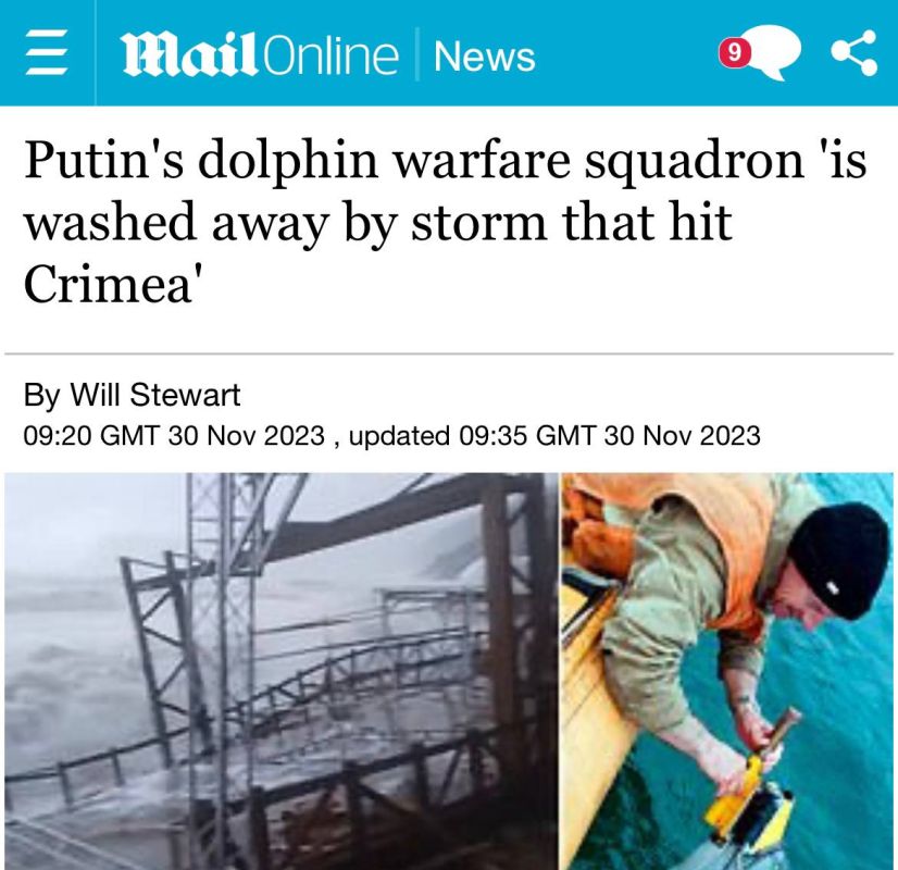 «Путинская эскадрилья боевых дельфинов смыта штормом, обрушившимся на Крым»: Британцы переживают - «загоны для дельфинов Путина», которыми они пугают читателя уже девять лет, пропали со спутниковых снимков