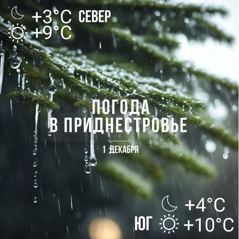 � ������ ���� ���� � ����������