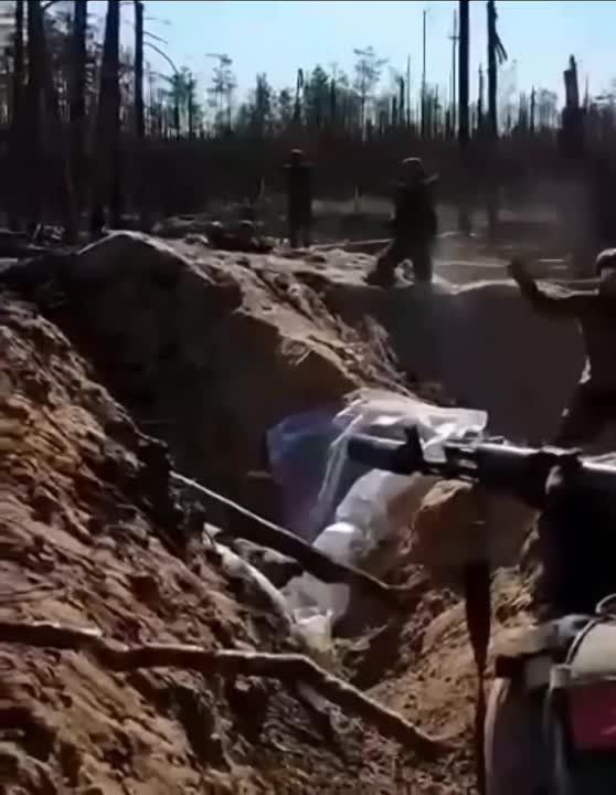 ����� �� �� �� 106-� ����������� ������� ��� �� ����������� ����������� ����� � ���� ����� ������������� ���