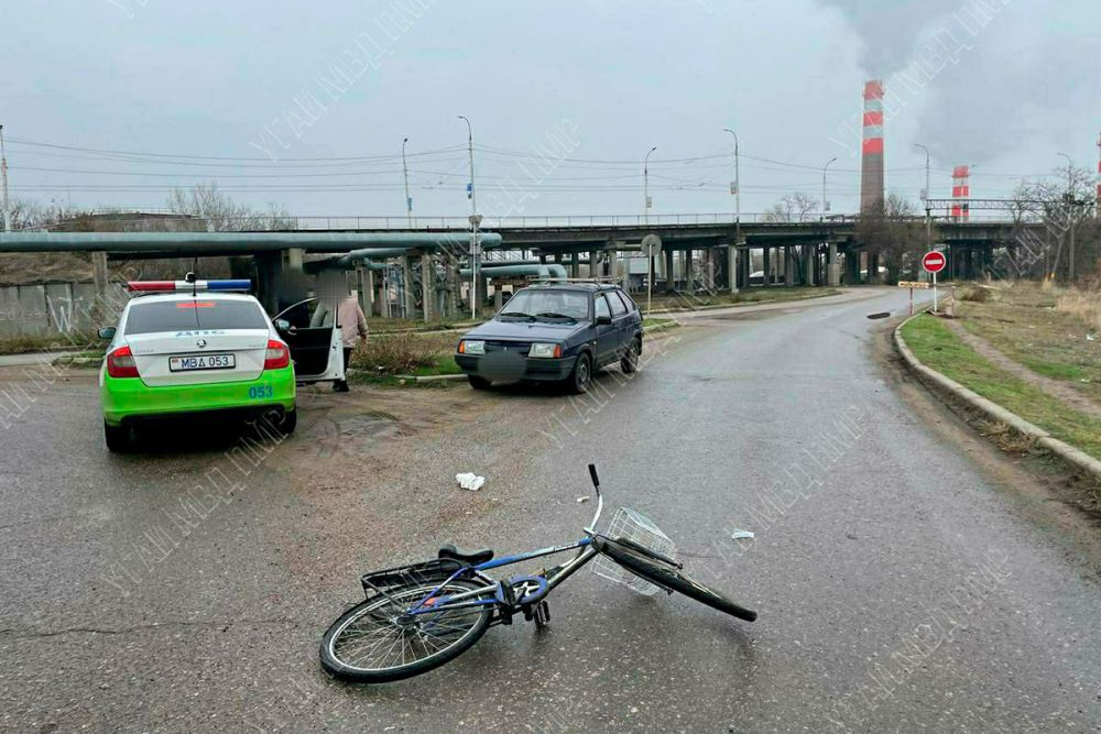 81-������ ������� �� ����� ���ǻ ����� �������������