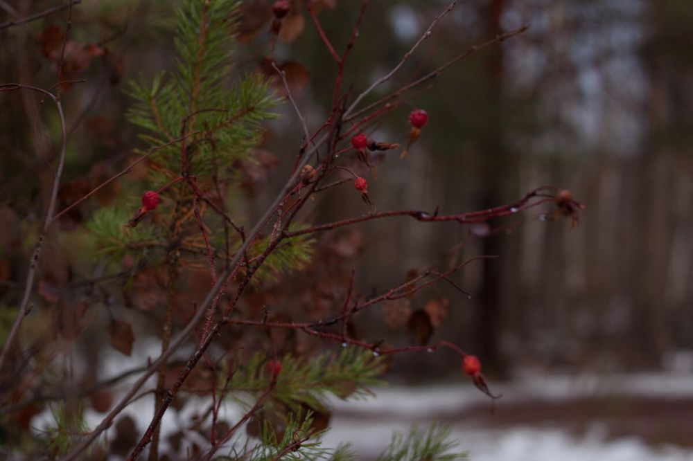 ���� ������� � ������ ����� ��� �������! ������� ��������