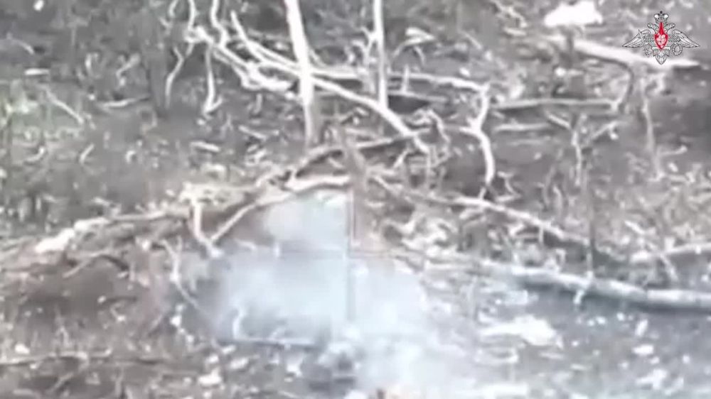 ��������� ���� ���������� �����������, ����������� � ������ ���������