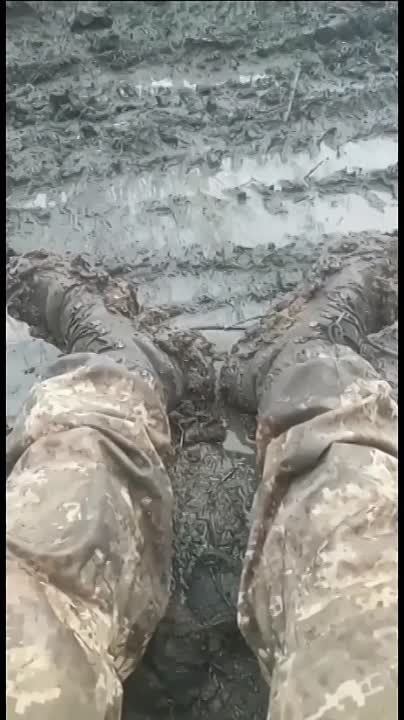 ������� � �������.. ���������� ������� ��������� ���������� ������������ � ��������� ��� � �������� � � ����� ������� ������ ����� ����������