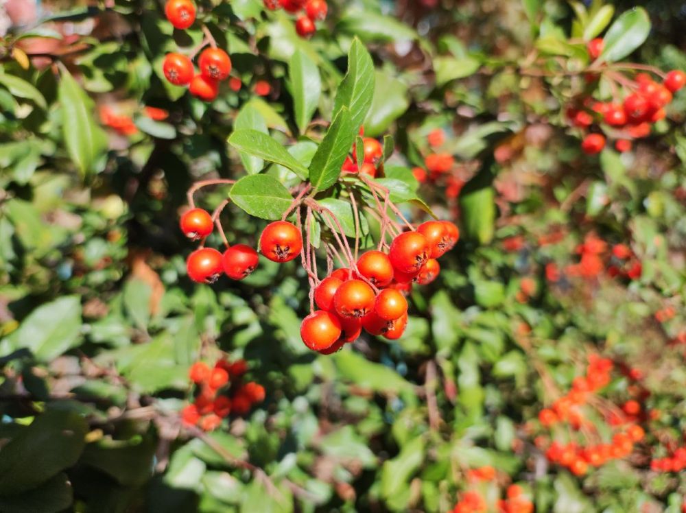 ������� ������. �������, 3 �������, ��������� �������� ������, ��� ������������ �������