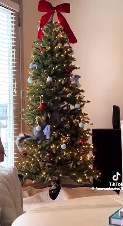 ����� �� ���� ����� � �����������.