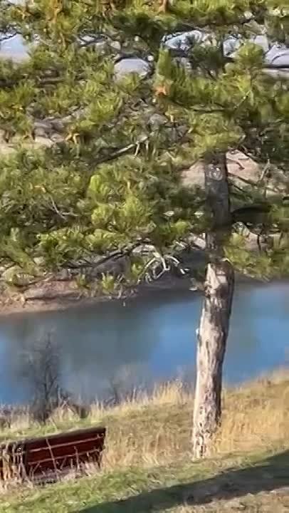 � ��� ���� ����� ��������� ������� - � ������ ����� ����������� �������� ��� �� ������ � �� ������ �����