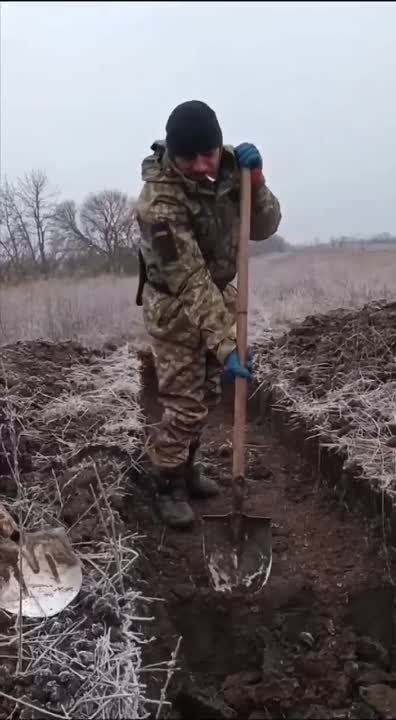 �� ������������� �������� ���� �� ������� ������ ������