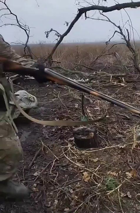 �������������.