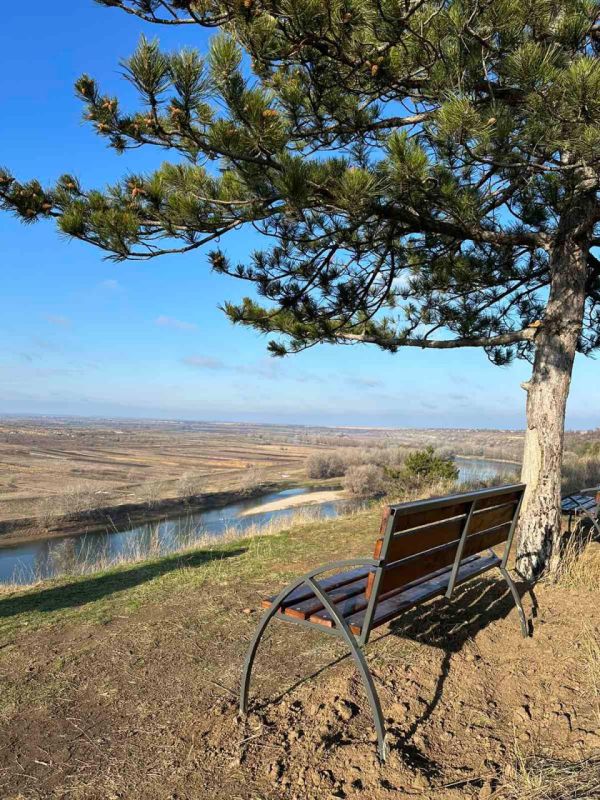 ��������� �������� ��������� ����� ������������ � ������ - ��� ������� ��������� �������� ����������� � ������ ������� ����������