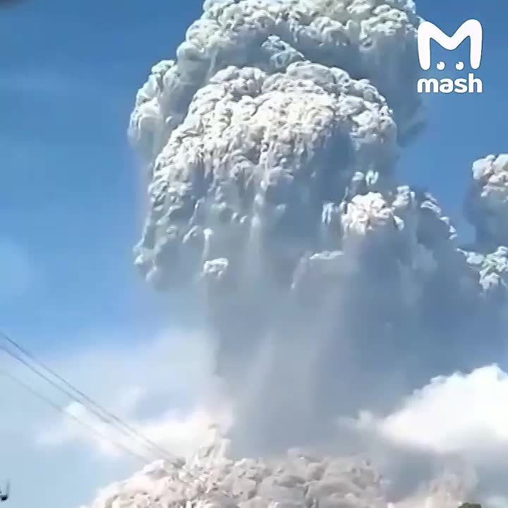 ������ ���������� ������� ������ �� ������������� ������� �������