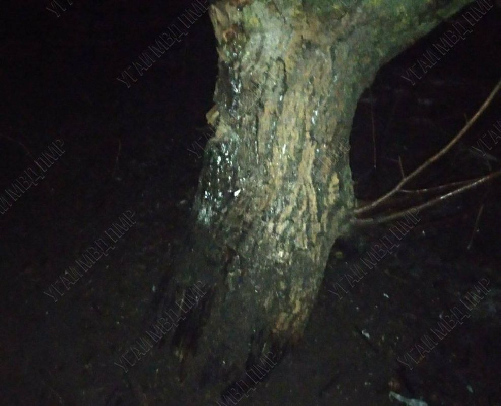 ������� ��� ���� ���� �� ���� � ������ � ���. ������ ��������� 2 ������� ����� ���� ������ �� ��. ������� �. ��������