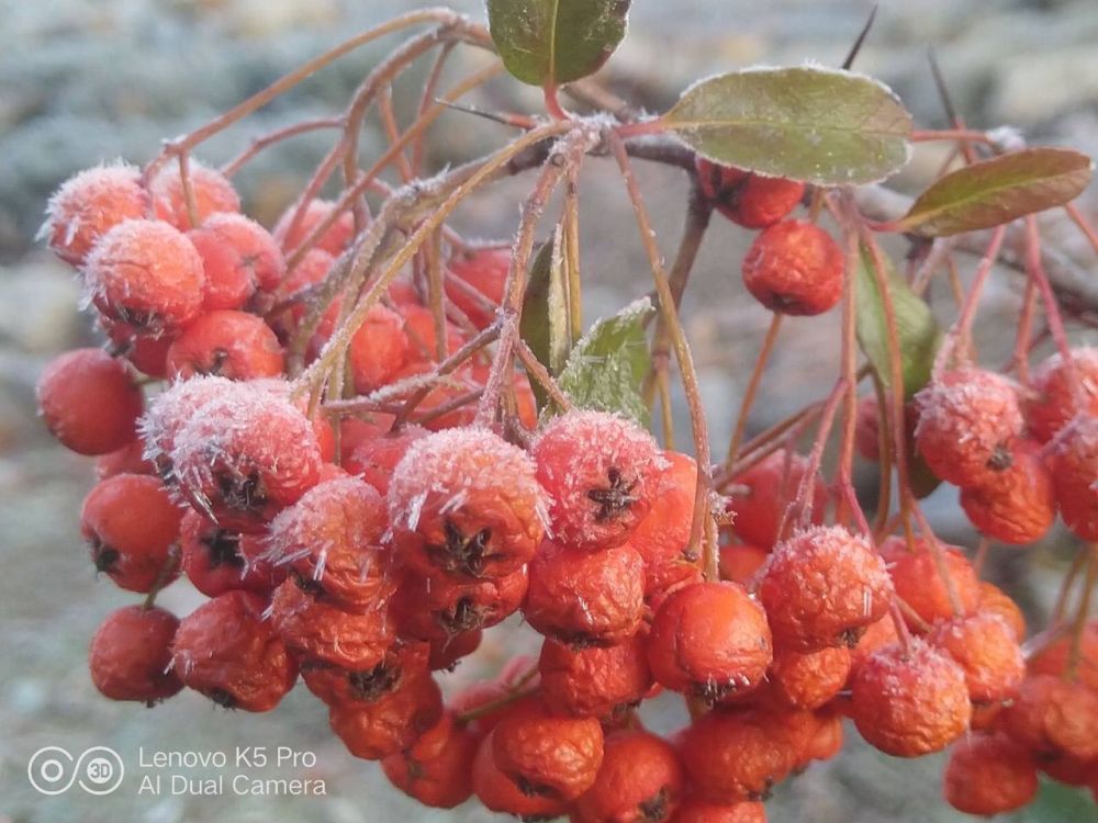 ����� ���, ���� ���� ���� �� �����