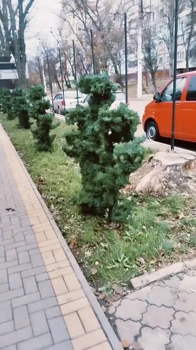 ������� ����� ������ ������� � �������