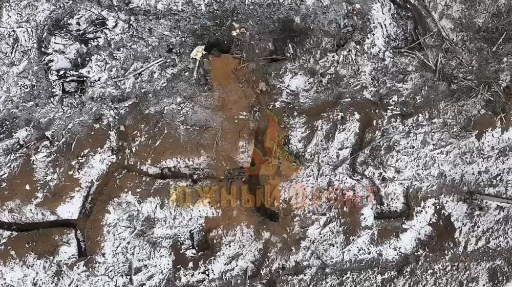 ������ �� ���������� �������.