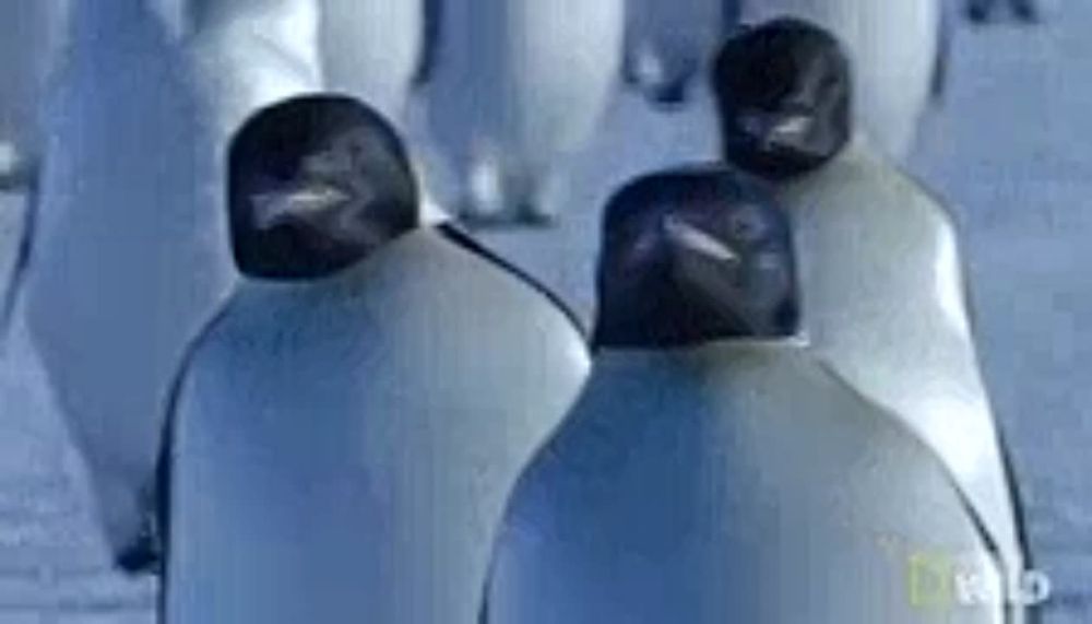 �������� ���� �� ���� � ��� ���� �� ��� ������ 4 �������