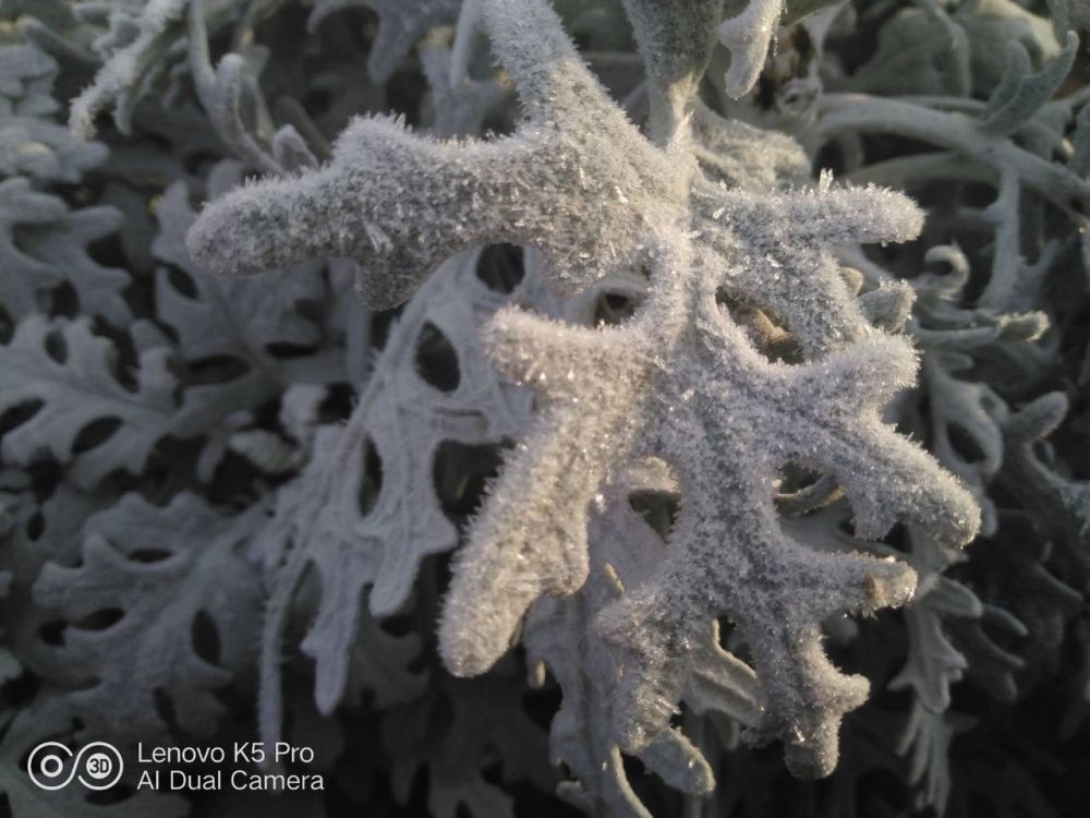 ���� � �������� ���� �����