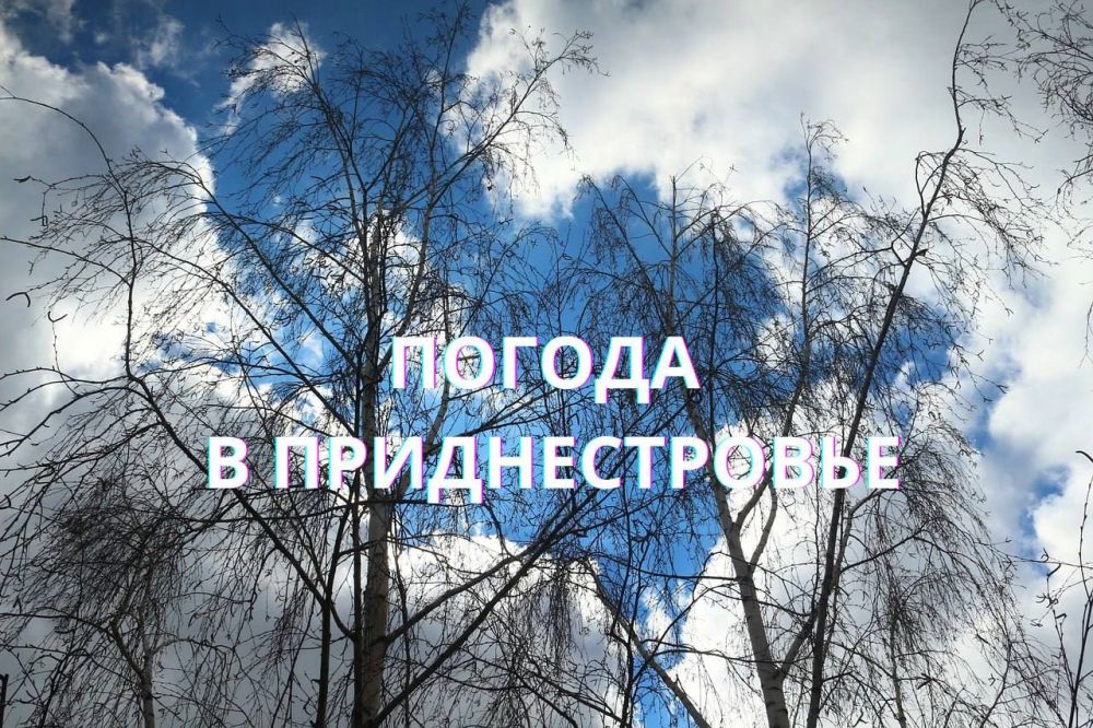 5 ������� ��������� ���������� ����������, ��� �������