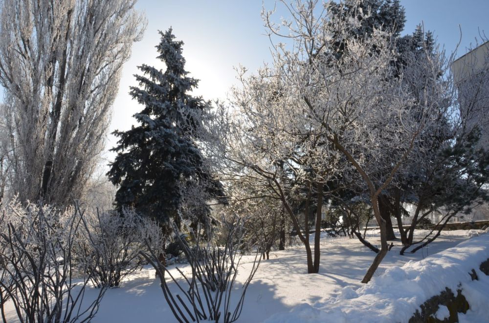 ����� ������� ���, � ���� ��� ����� ������������