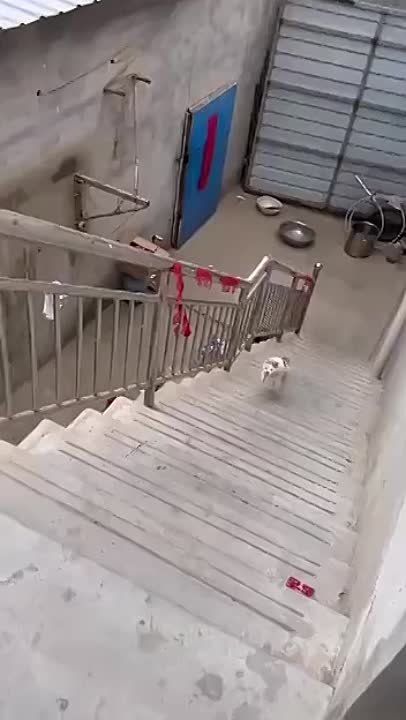 ����� � ��������� �� ����