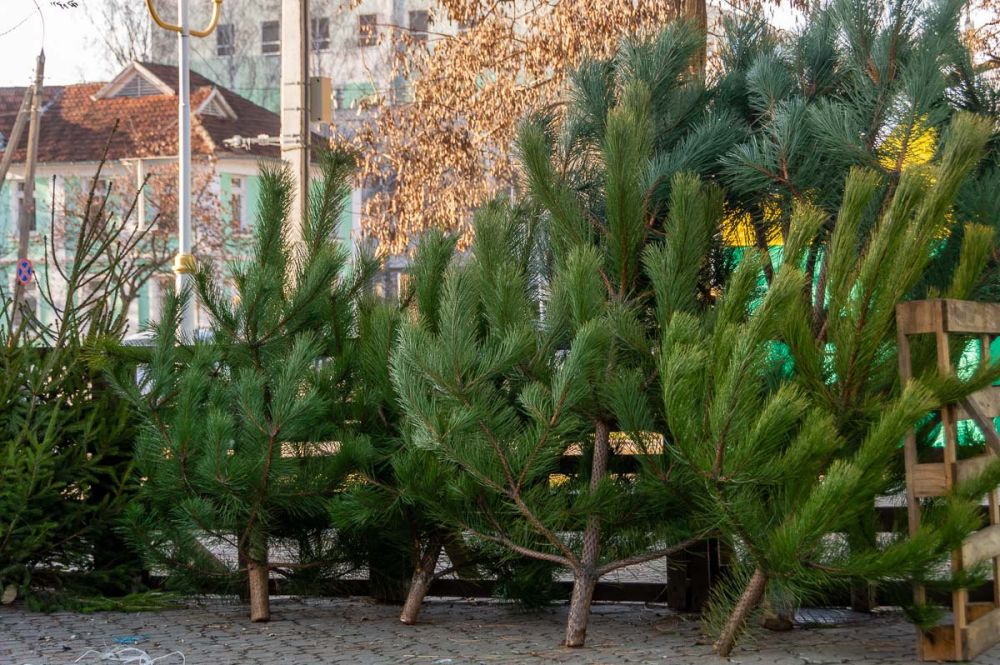 � ��������� �� ������� ����� ��� ����� ������ ����� ����