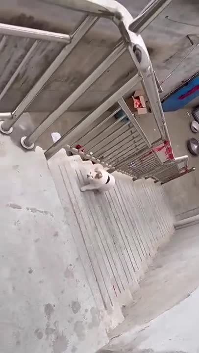 ������� � ���������������� ���